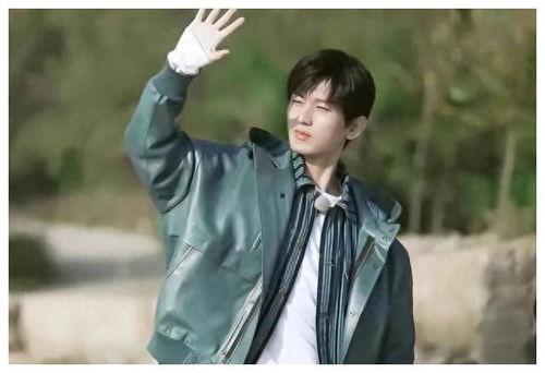 成毅今日爆料最新消息图片,揭秘娱乐圈幕后真相